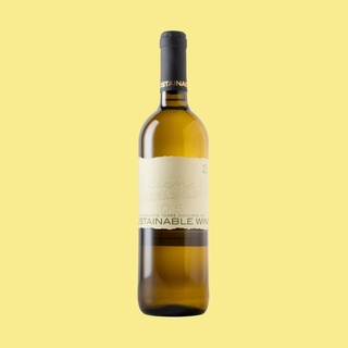Cantina Birgi 'Dieciemezzo' Catarratto 2024