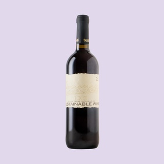 Cantina Birgi 'Dieciemezzo' Syrah 2024