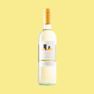 Colli Vicentini 'Garganega Pinot Grigio' 2024