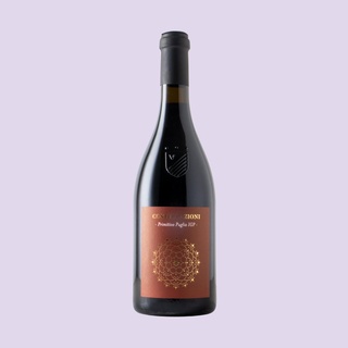 Costellazioni Primitivo 2021