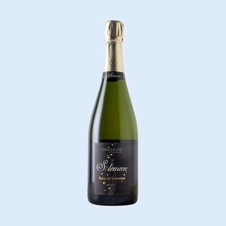 Le Solemme 'Terre de Solemme' Premier Cru Brut NV