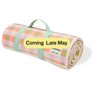Picnic Blanket - Checkered