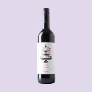 San Valero 'Tozal' Tempranillo Blend NV