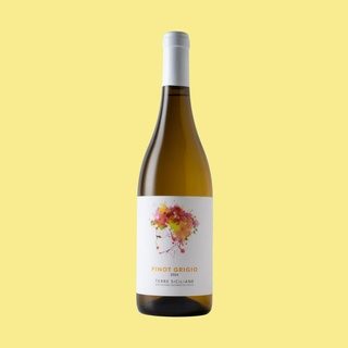 Tenuta Bellamora Pinot Grigio 2024