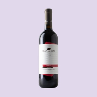 Villa degli Olmi Merlot 2024