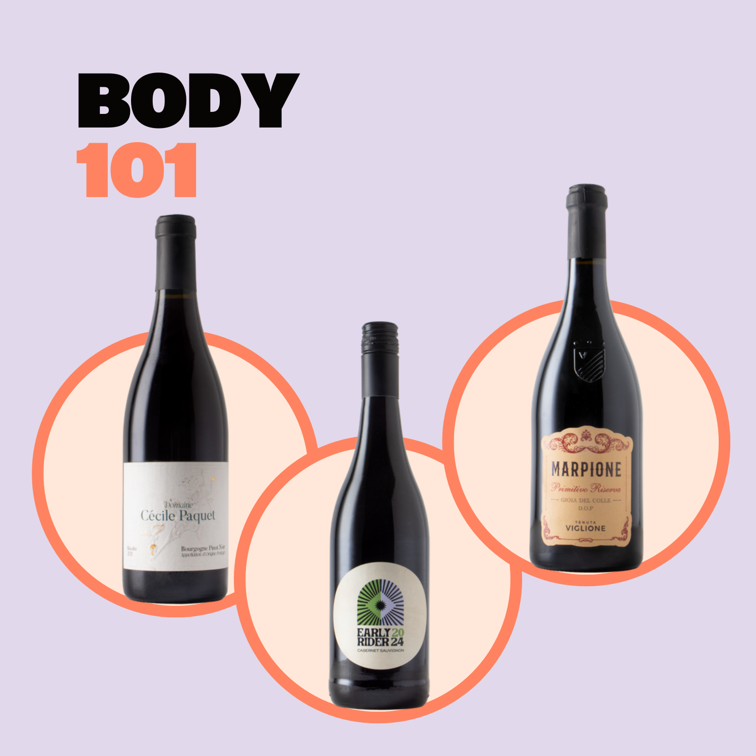 Body 101