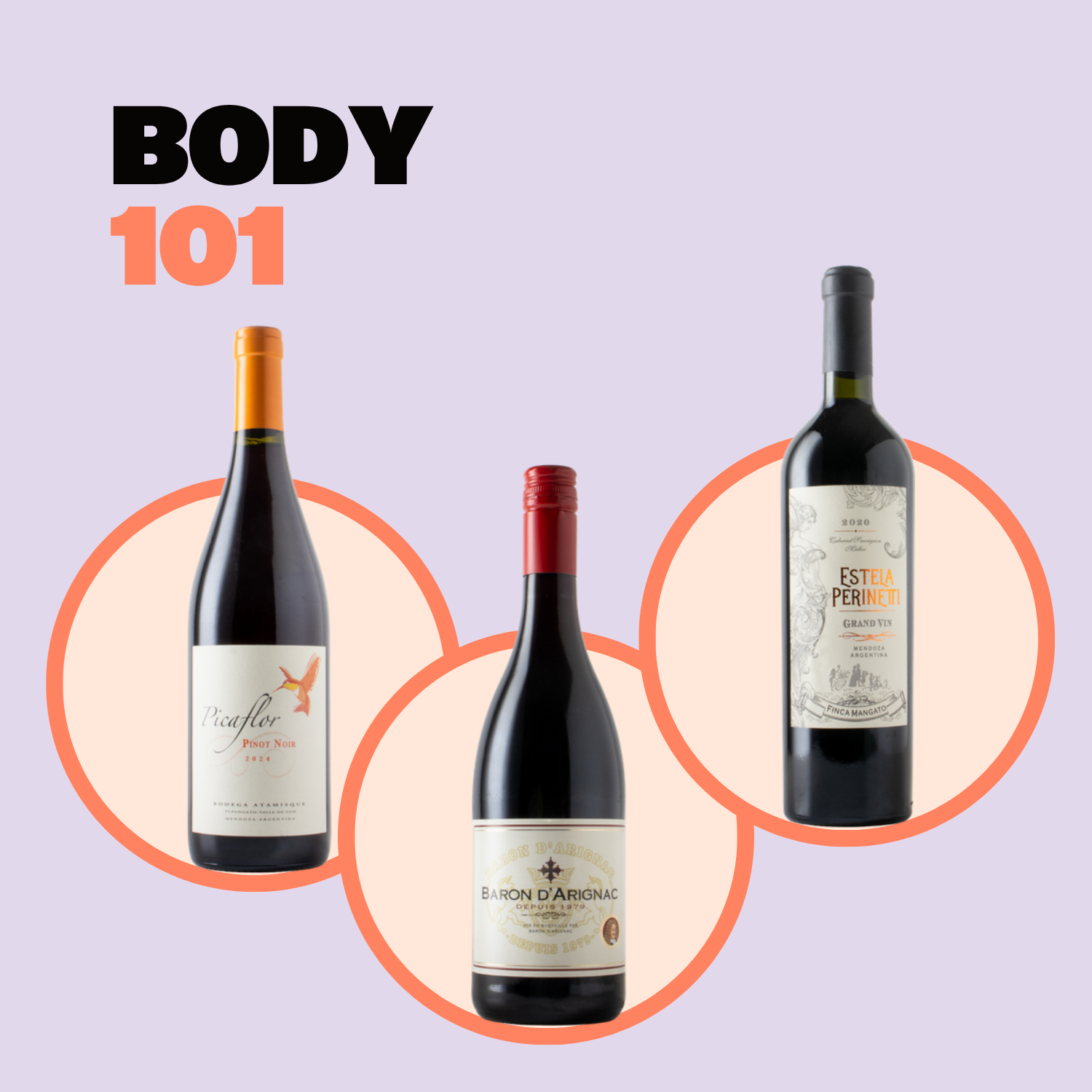 Body 101