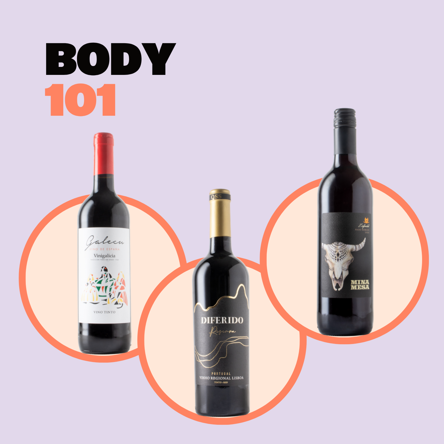 Body 101
