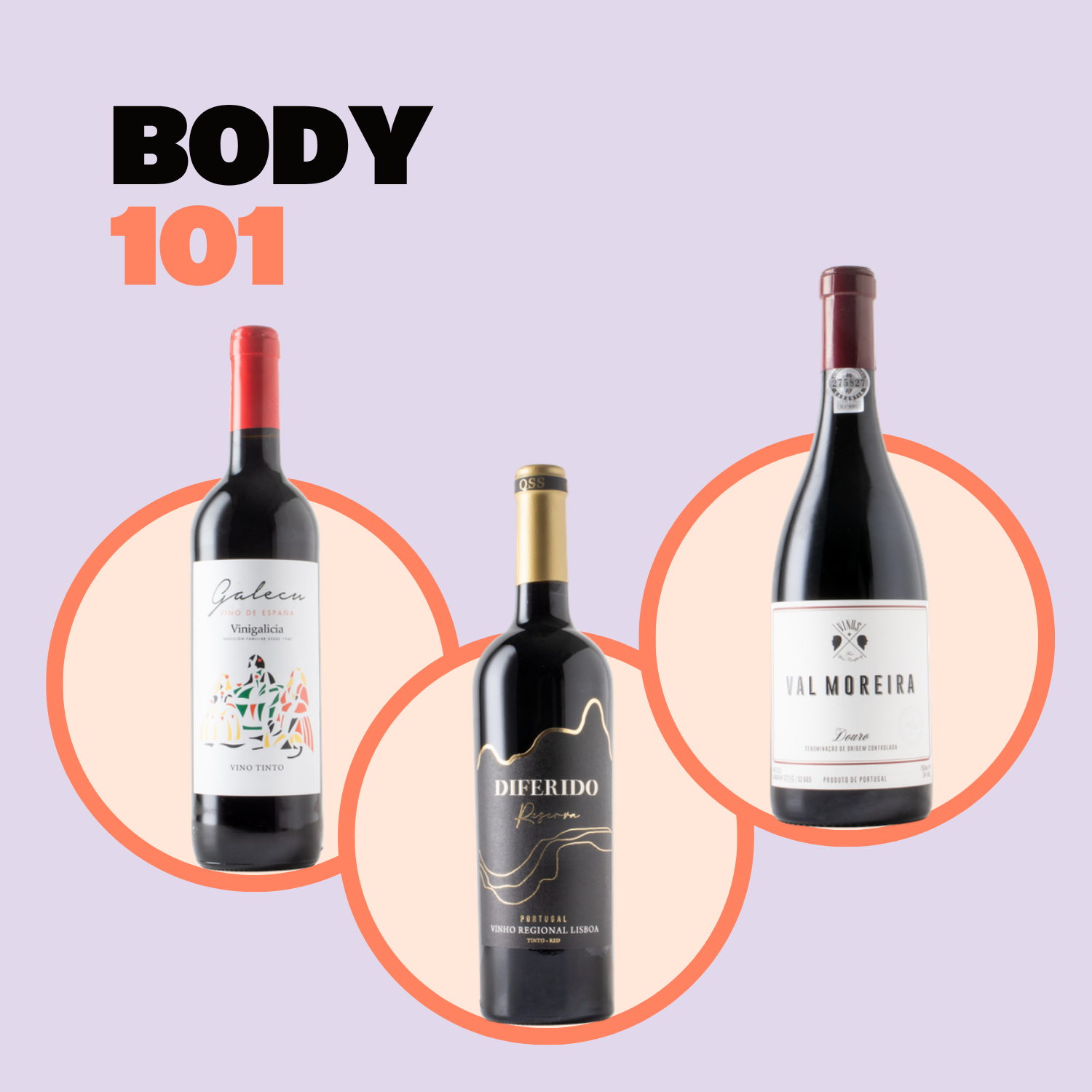 Body 101