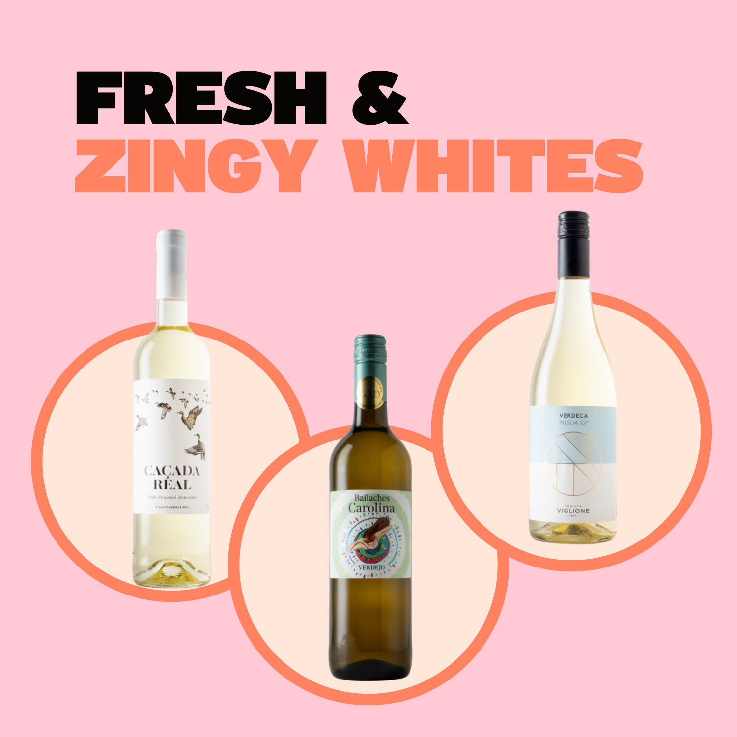 Fresh & Zingy Whites