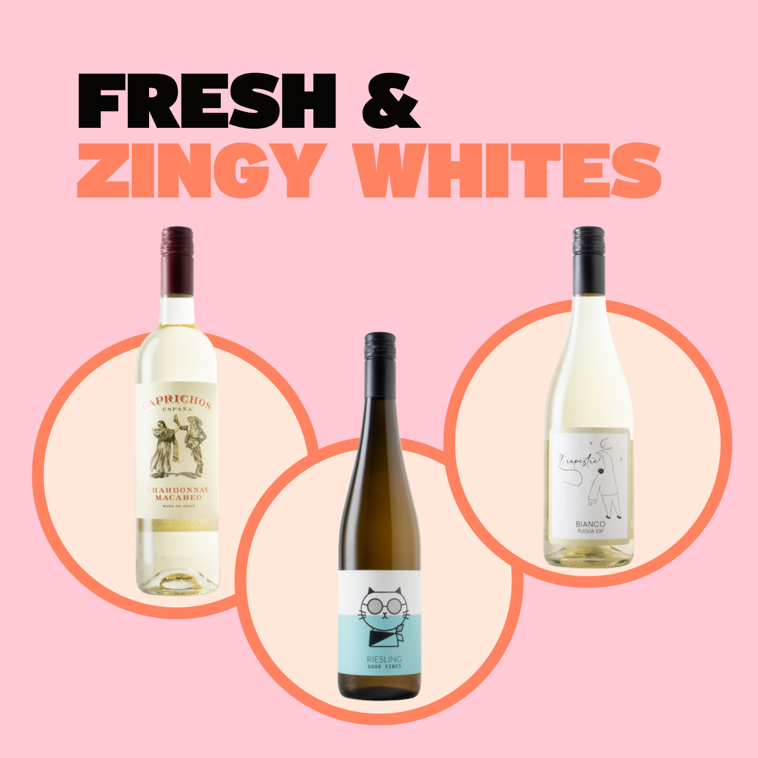 Fresh & Zingy Whites