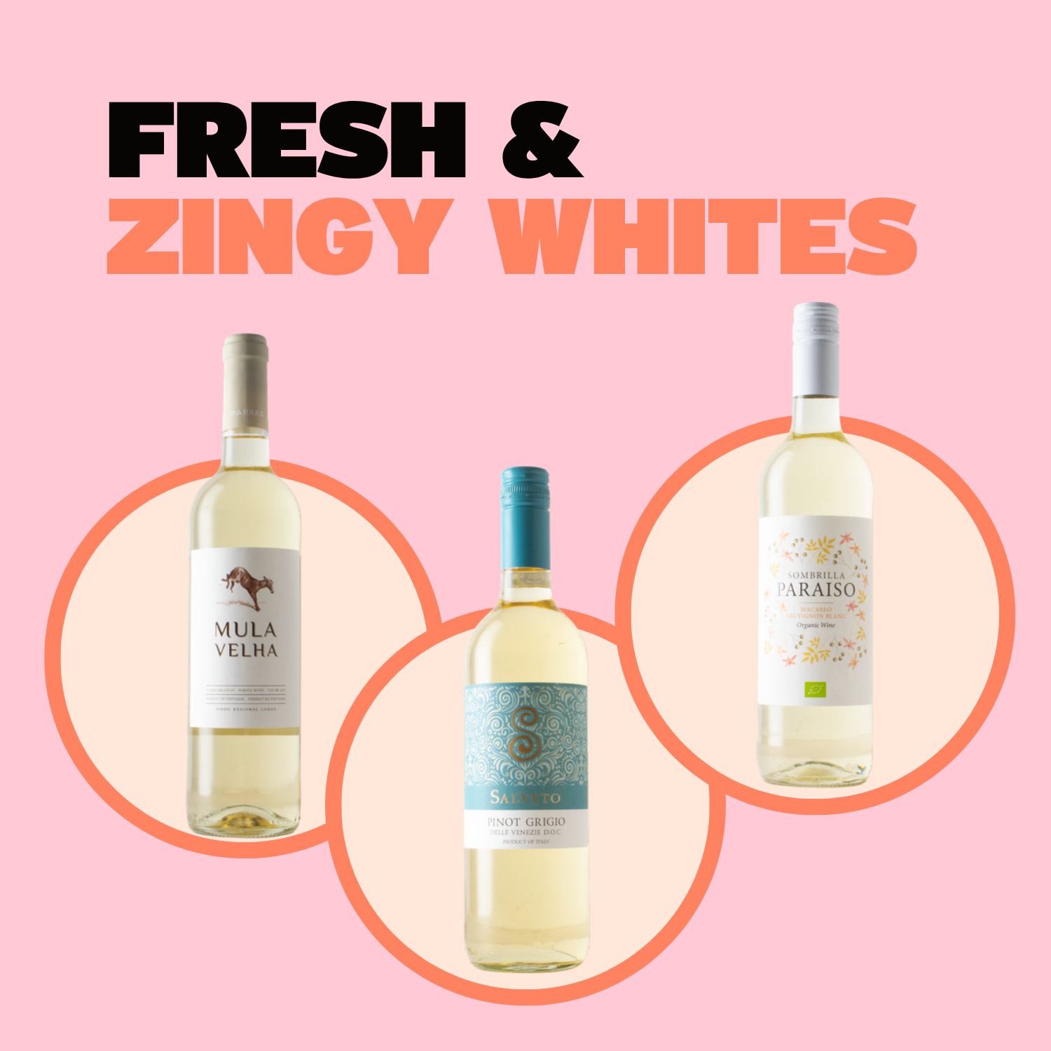 Fresh & Zingy Whites