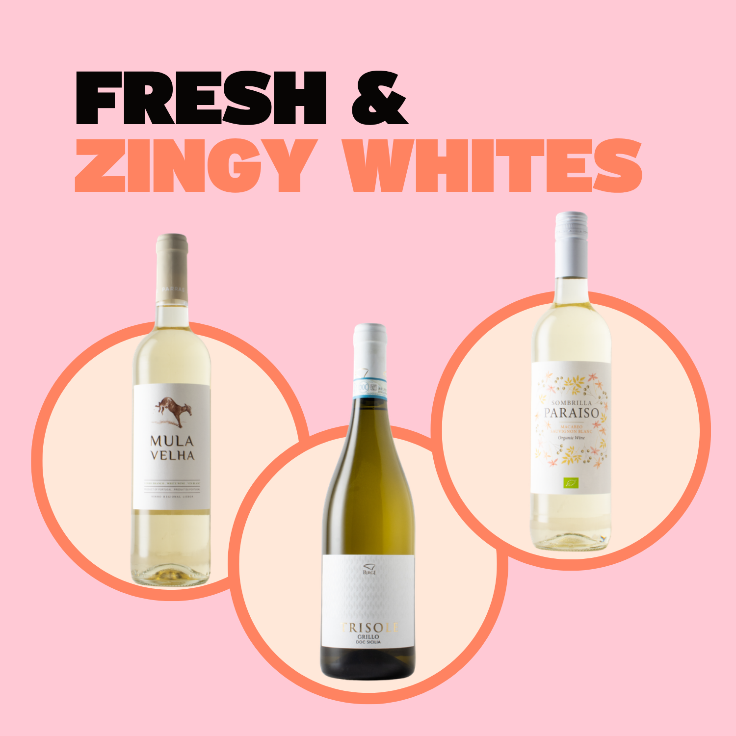 Fresh & Zingy Whites