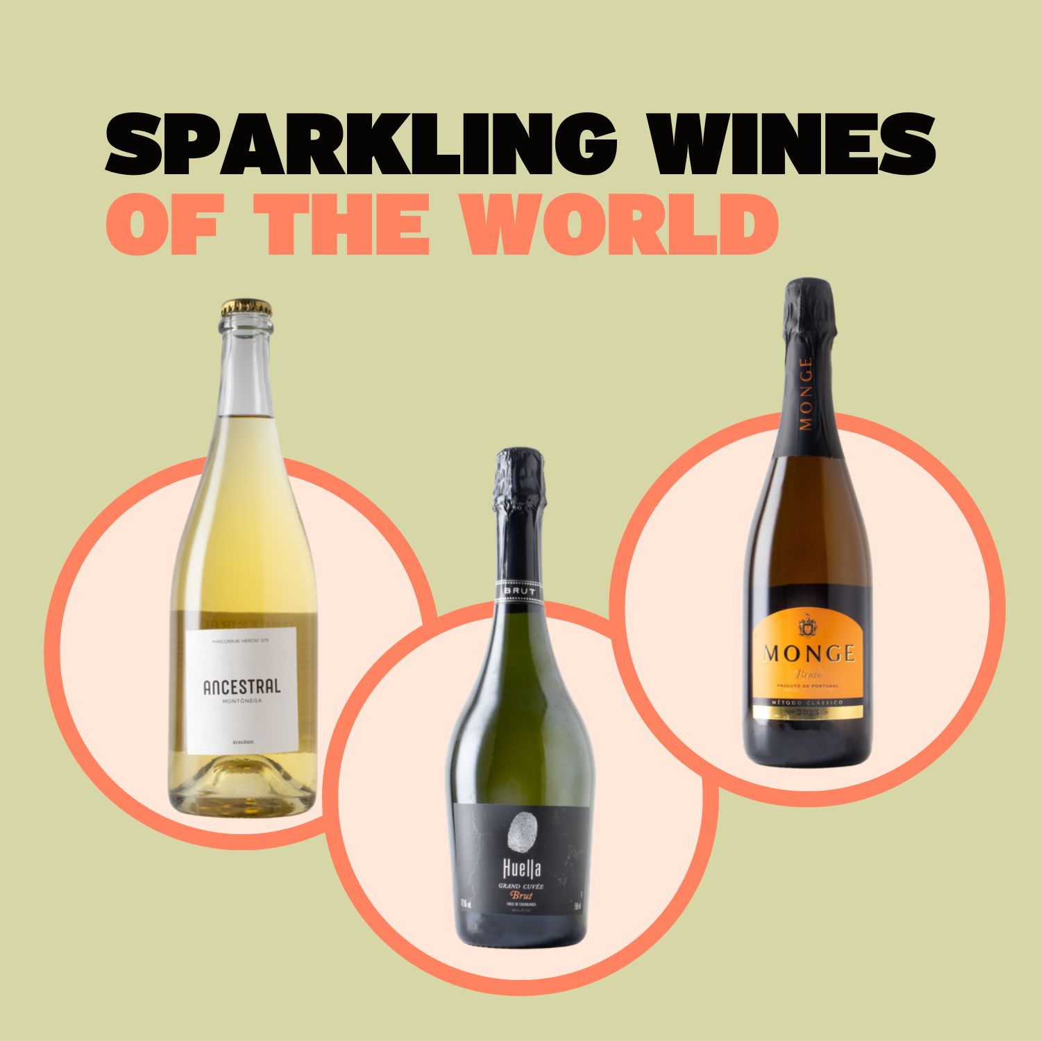 Sparkling Wines of the World