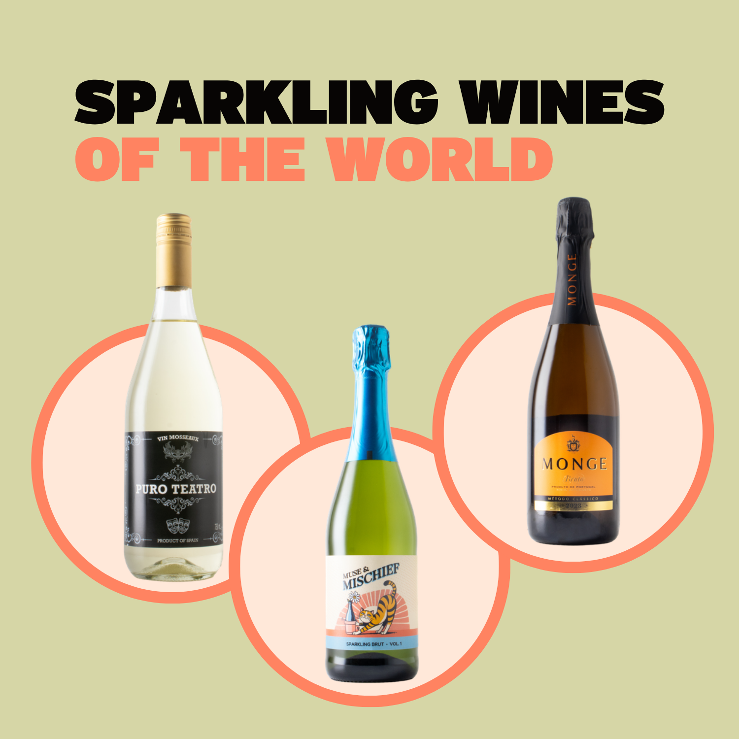 Sparkling Wines of the World