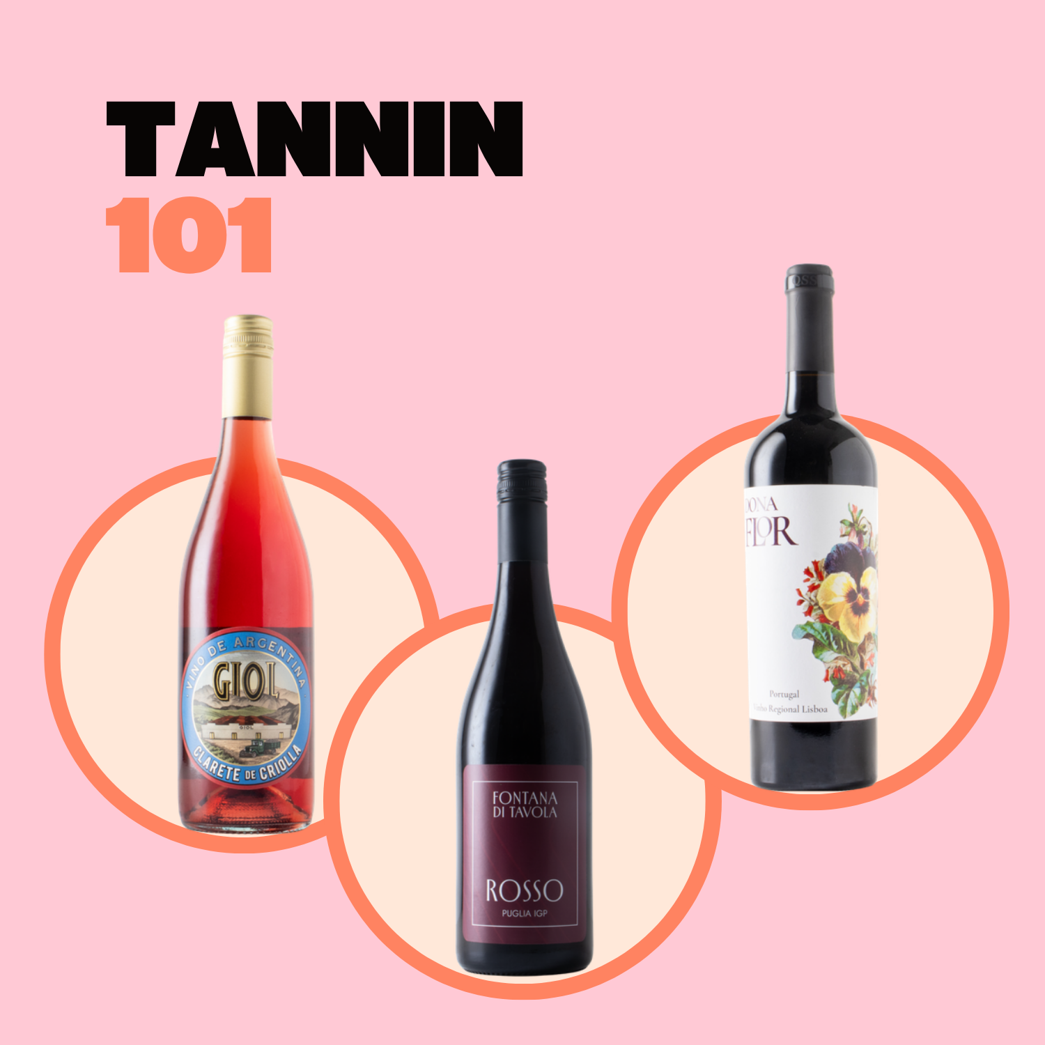 Tannin 101