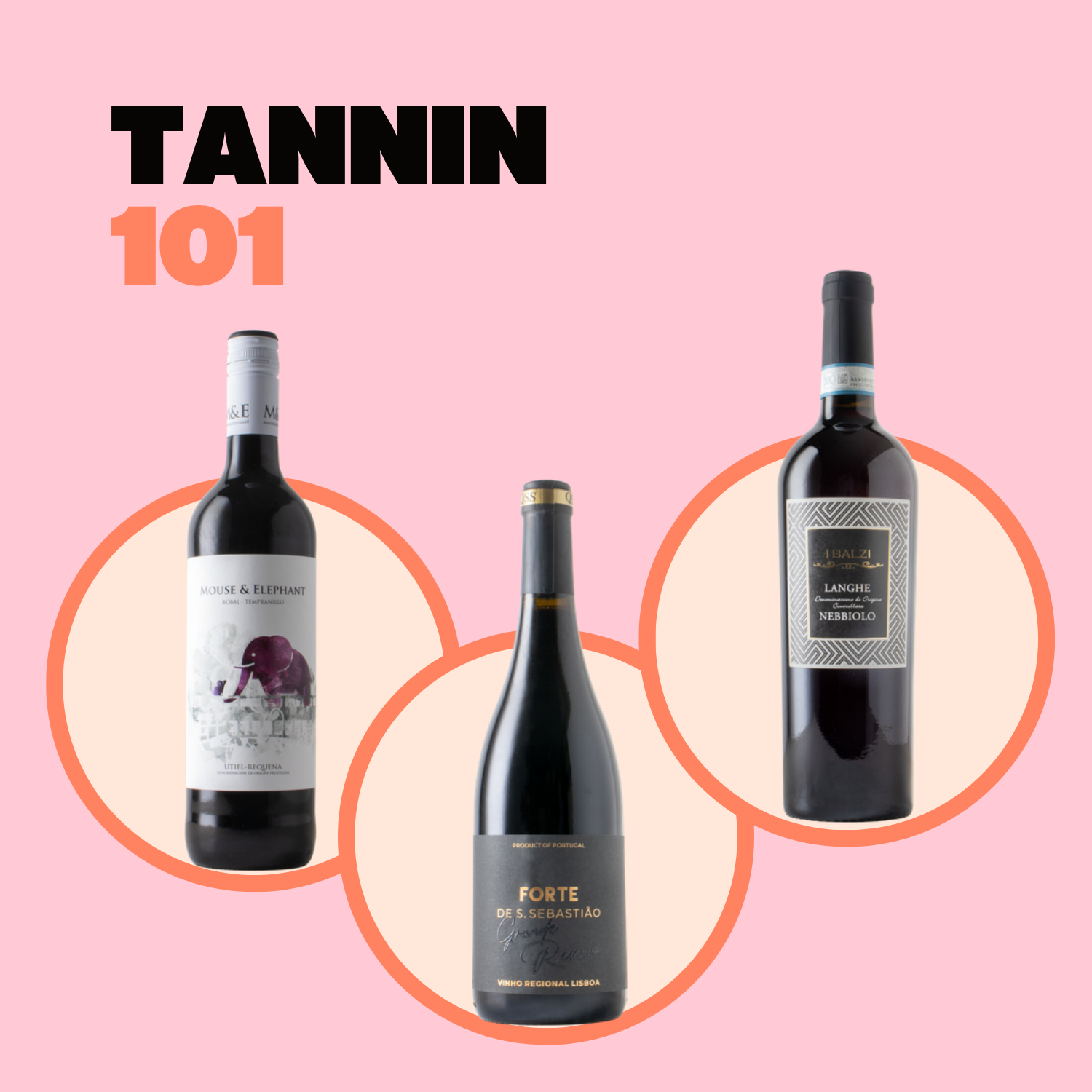 Tannin 101