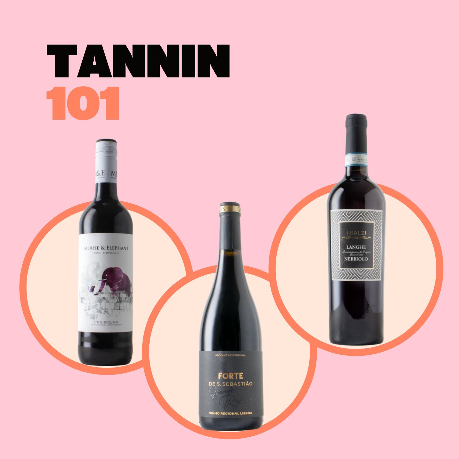 Tannin 101