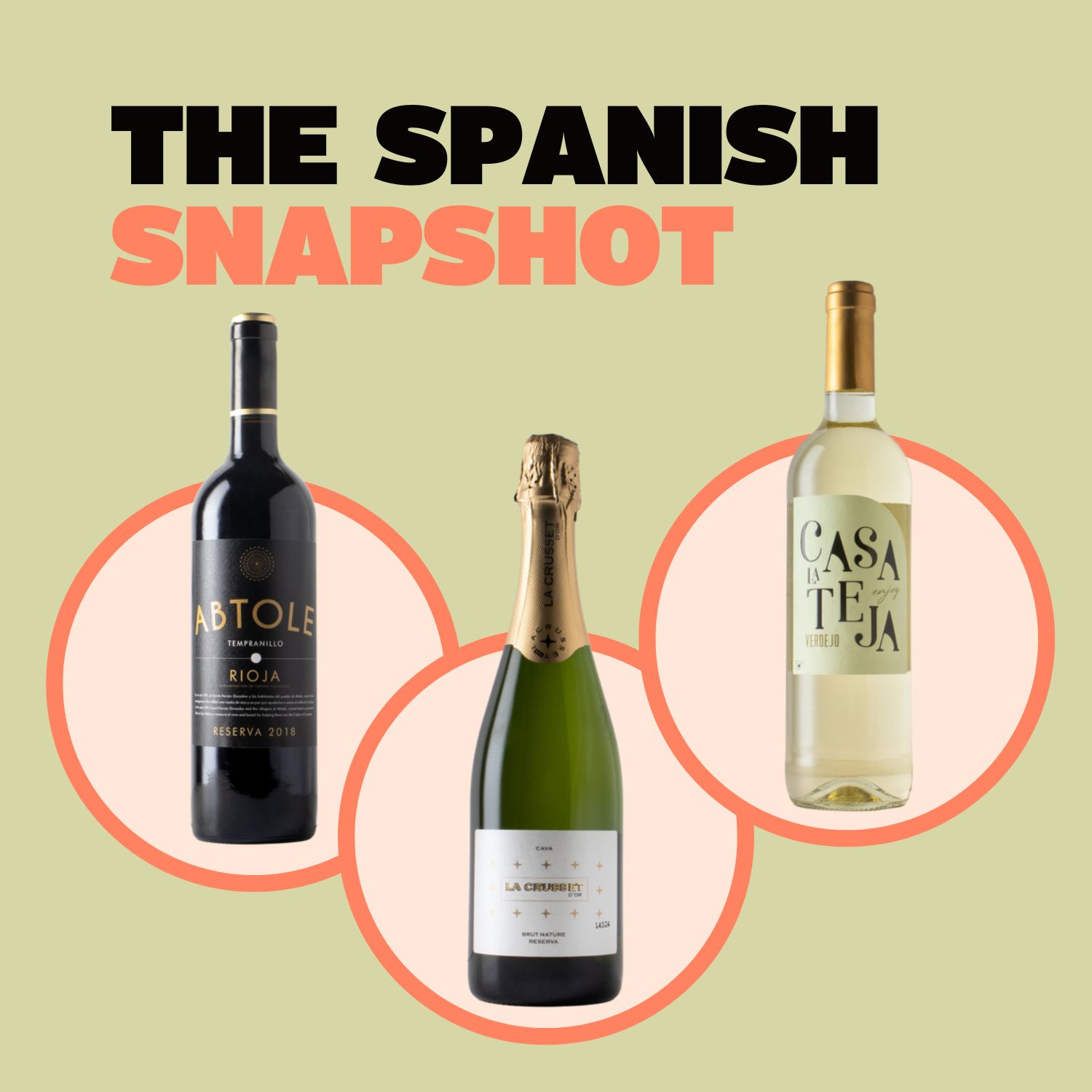 The Spanish Snapshot