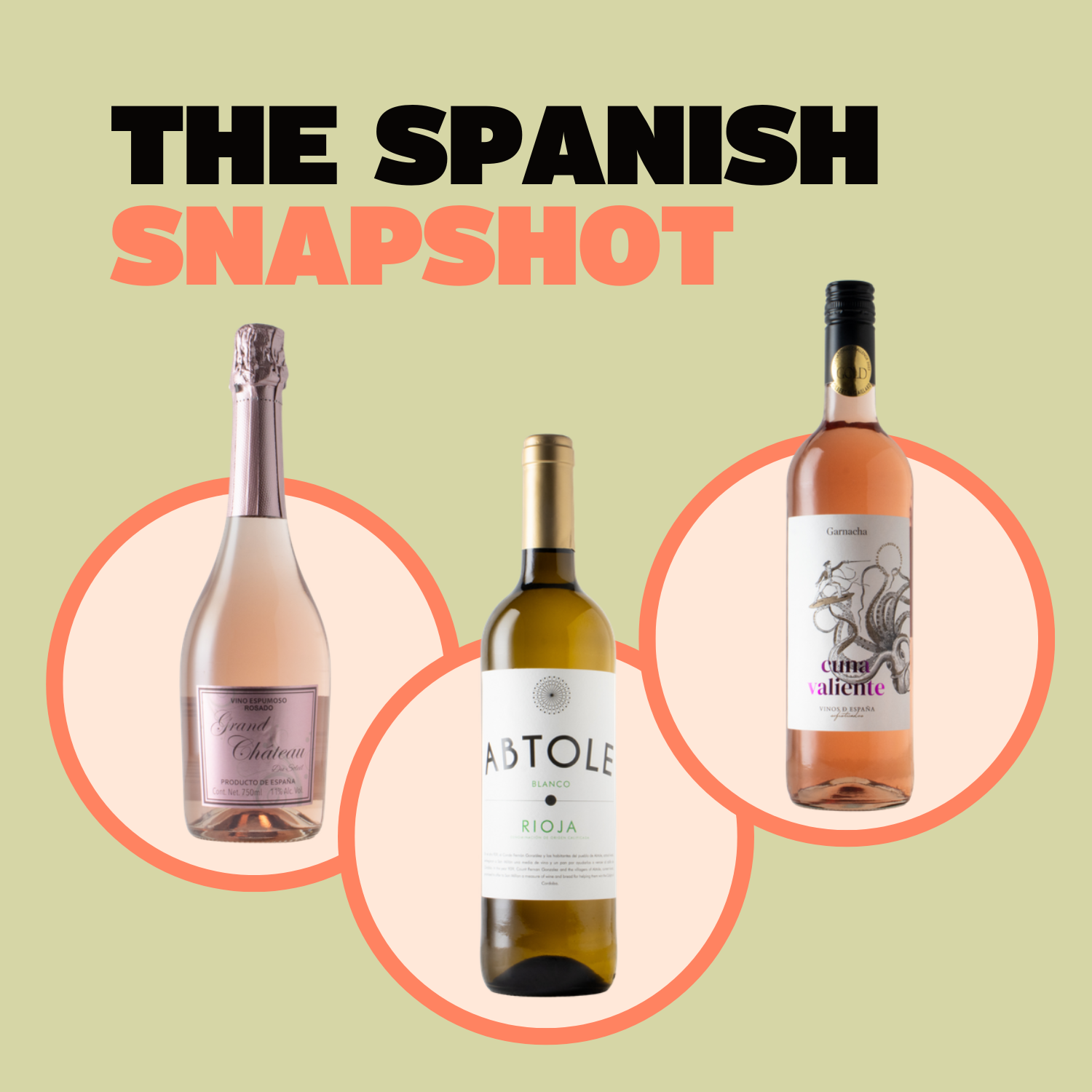 The Spanish Snapshot