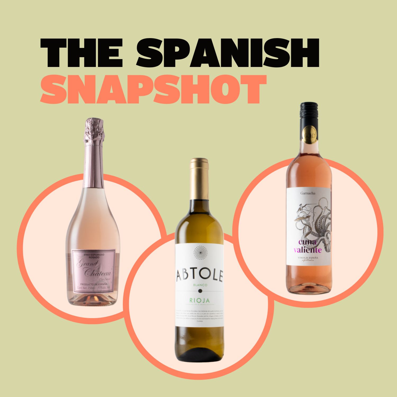 The Spanish Snapshot