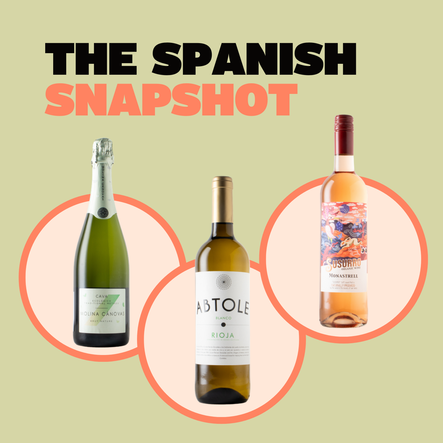 The Spanish Snapshot