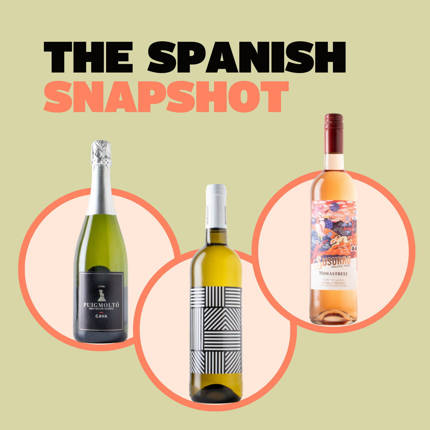 The Spanish Snapshot