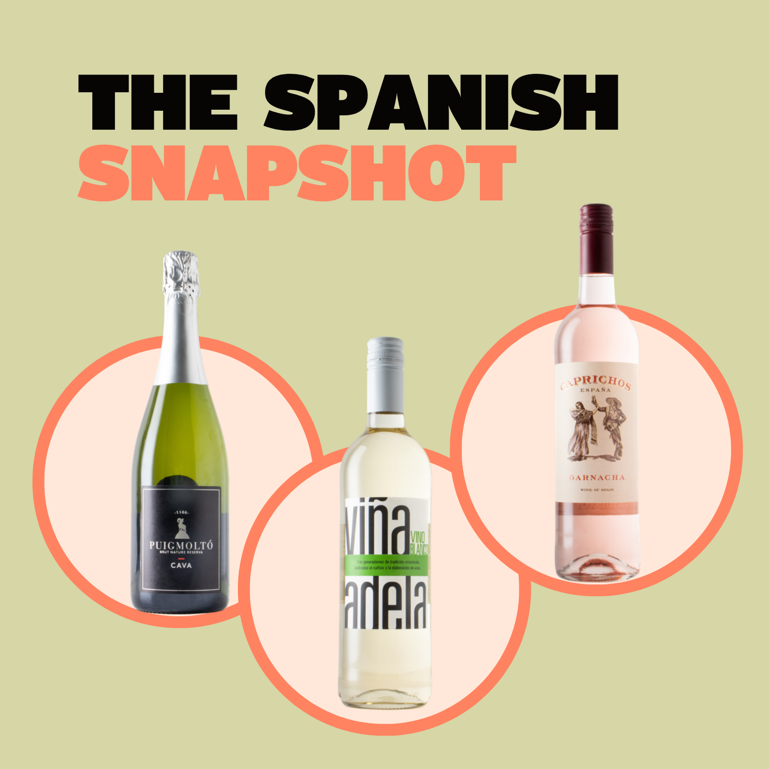 The Spanish Snapshot