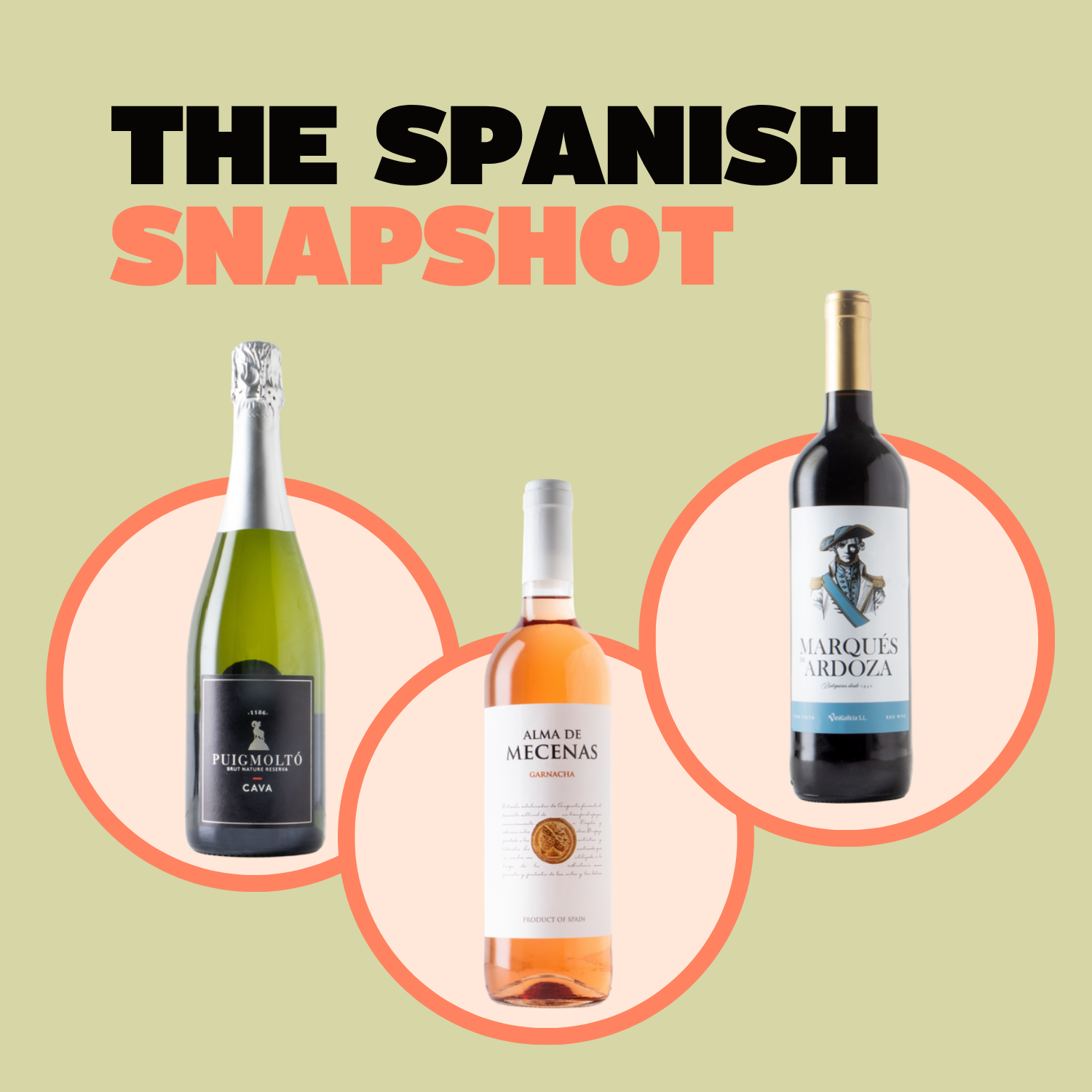 The Spanish Snapshot