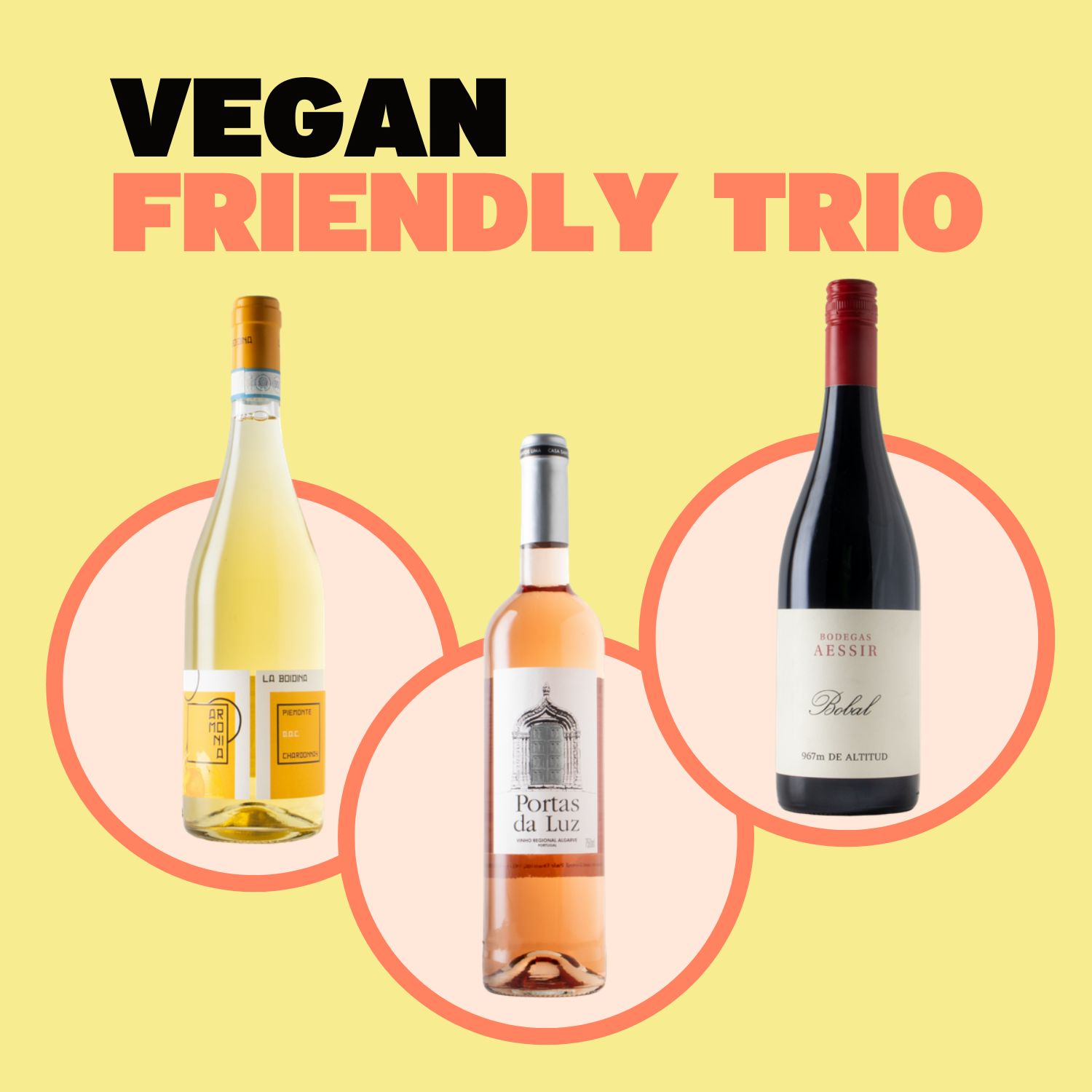 Vegan Friendly Trio